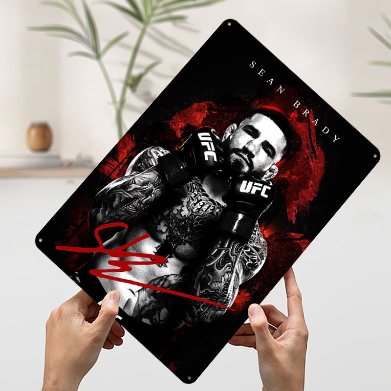 Sean Brady Fighter Portrait Ti - đánh giá và giá Retro Poster Gaming